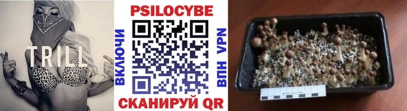 Псилоцибиновые грибы ЛСД  Бологое 