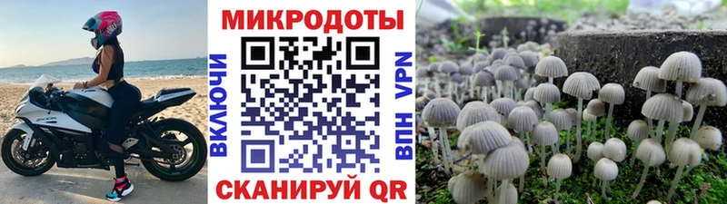 Галлюциногенные грибы ЛСД Бологое